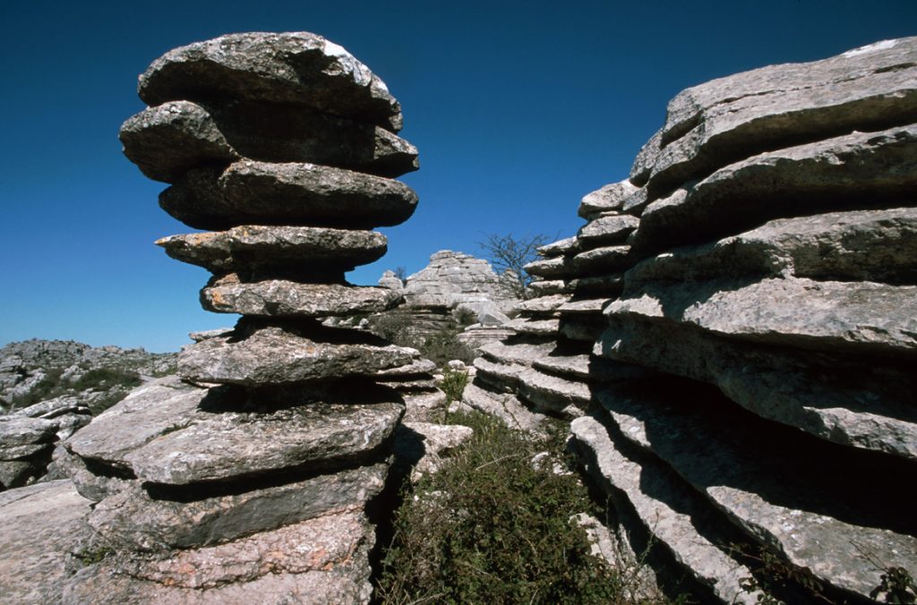 CONSEJERIA DE MEDIO AMBIENTE, JUNTA DE ANDALUCIA